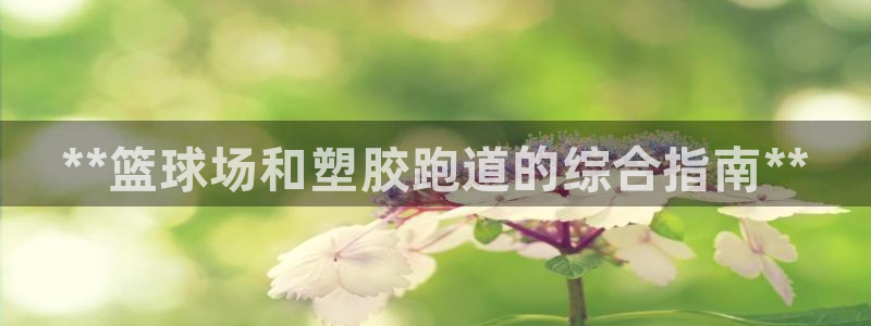 谈球吧官网在线入口手机版下载安装:**篮球场和塑胶跑道的综合