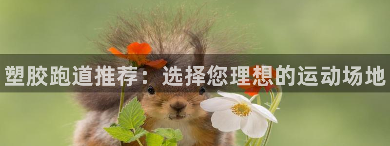 谈球吧中国:塑胶跑道推荐:选择您理想的运动场地